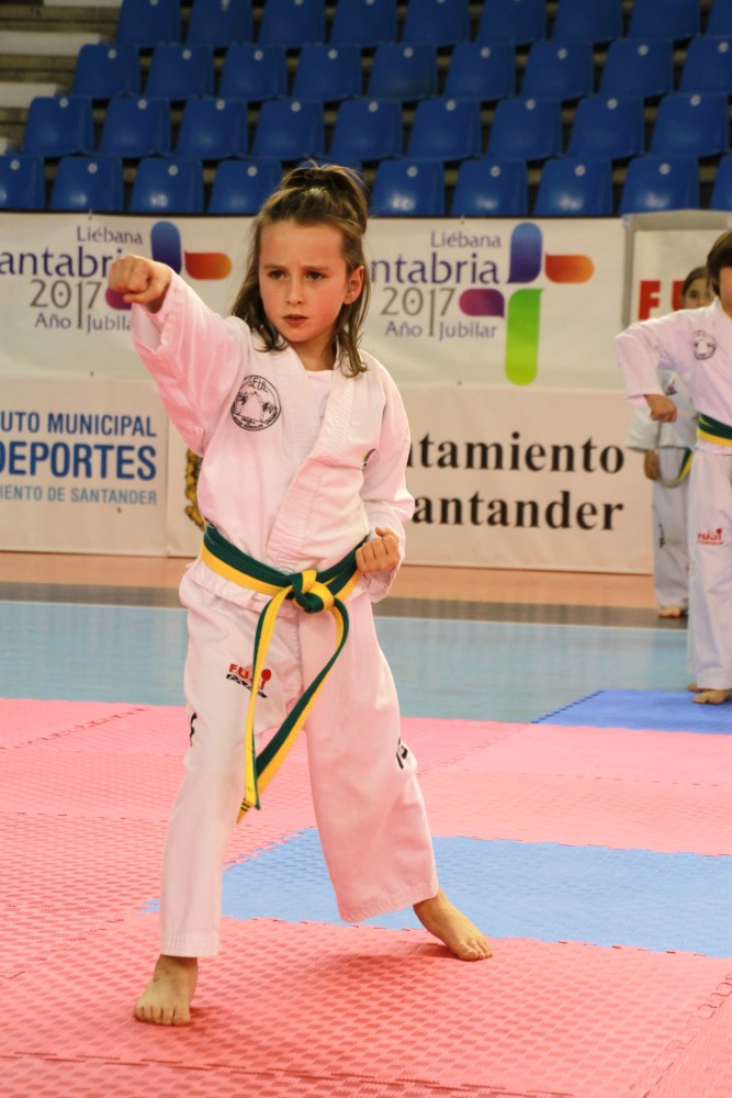 Taekwondo Dic 2016 (101).jpg